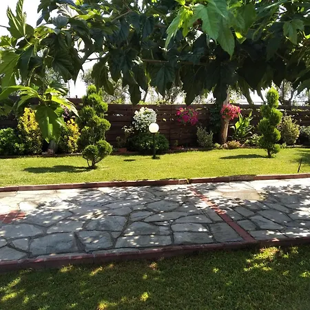 Villa House On The Beach